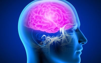 HOW TOXINS NEGATIVELY Affect BRAIN HEALTH