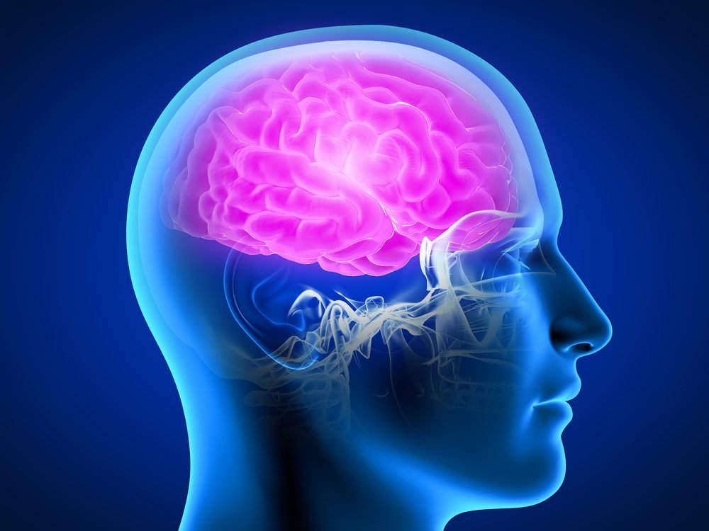 Can TOXINS Negatively Affect BRAIN HEALTH Can TOXINS Negatively Affect BRAIN HEALTH