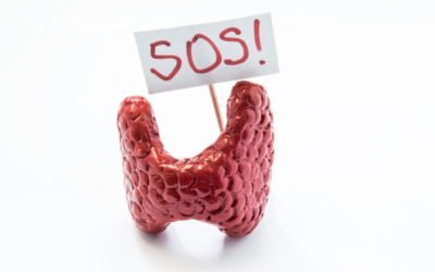 THE ROOT CAUSES OF AUTOIMMUNE THYROID/HASHIMOTO’S