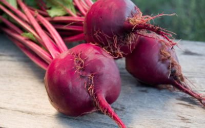 WHAT ARE THE BIG BENEFITS OF BEETROOT POWDER?