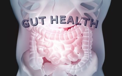 The Connection Between Gut Health and Thyroid Function Introduction